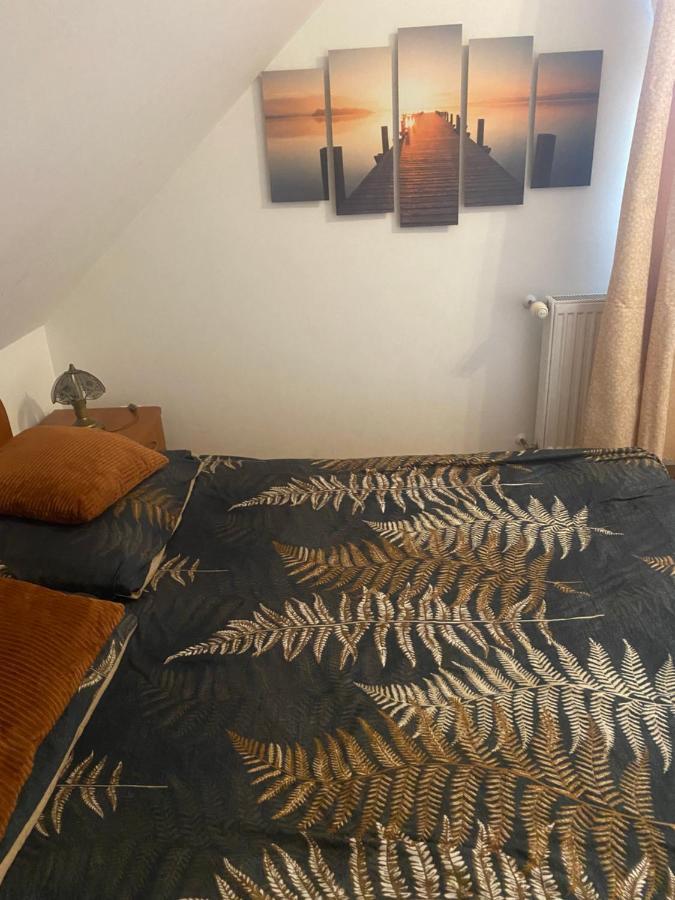 Pokoje Goscinne Emilio Kudowa-Zdroj Bagian luar foto